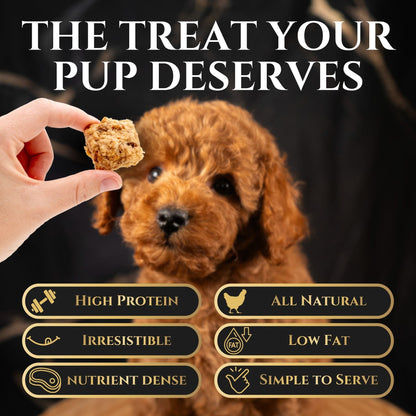 Freeze-Dried Chicken Crisps Dog Treats